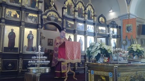 7 Проповедует протоиерей Мирча Панчук