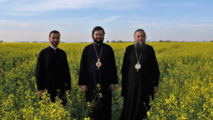 На Канадской земле. Поля с канолой (рапсом). Епископы Иов и Антоний, диакон С.Калашников